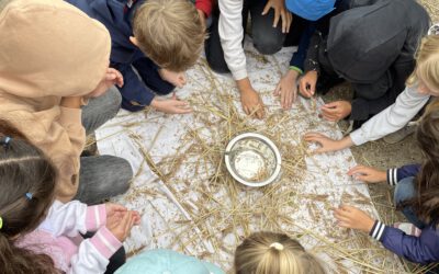 3. Klassen zu Besuch auf dem Eschenhof